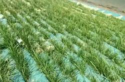 赤峰塑料土工网官网电话号码