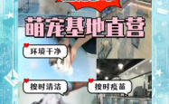 赤峰狗狗造型团购电话多少号