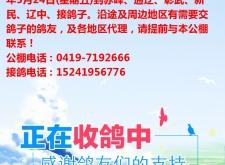 赤峰达源水利工程招聘电话号码