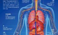 赤峰胎盘储存厂家电话号码查询