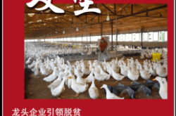赤峰市国防办官网电话号码