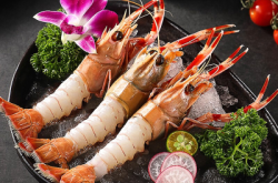 赤峰依诺冻食批发电话号码