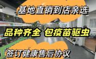 赤峰比熊狗场电话号码多少