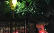 赤峰露源酒店地址查询电话号码