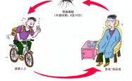 传染病直接传播是指
