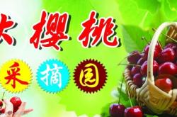 赤峰市大樱桃采摘园电话号码