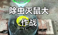 赤峰市灭老鼠公司电话地址查询