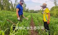 赤峰旅游农场地址电话查询号码