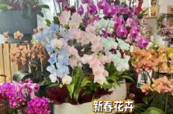 赤峰新天地鲜花店电话号码