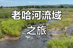 赤峰宁城县日租车公司电话号码