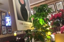 赤峰东田美发店地址电话号码