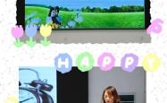 赤峰市第六小学电话号码
