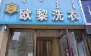 赤峰回收猫咪同城电话号码多少