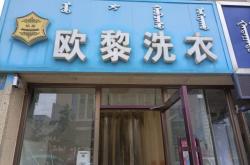 赤峰回收猫咪同城电话号码多少