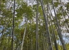 赤峰锦山照相馆地址电话号码