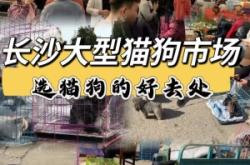 赤峰良心宠物店电话多少号