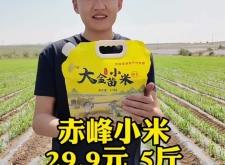 赤峰高档小米手机店电话号码
