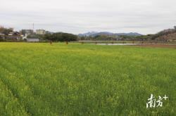 赤峰市合水镇政府电话号码