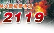 赤峰市医保报备电话号码是多少