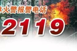 赤峰市医保报备电话号码是多少