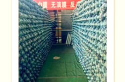 赤峰木桩加工厂电话多少号