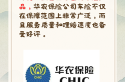 赤峰车险保险中介电话是多少号