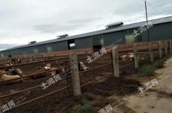 赤峰养殖用品批发市场电话号码