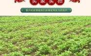 赤峰市种子公司电话号码