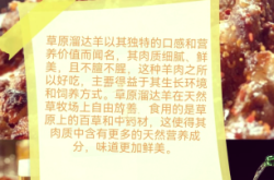 赤峰市推荐美食电话号码是多少