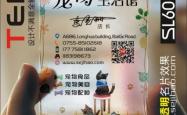赤峰宠物店销售猫狗电话号码
