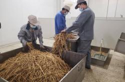 赤峰挖机挖药材厂家电话号码