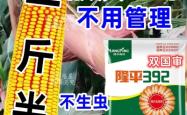 赤峰双岭直播间电话是多少号