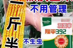 赤峰双岭直播间电话是多少号