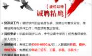 赤峰同城顺丰招聘电话多少号