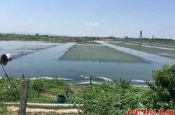内蒙赤峰肉驴养殖基地电话号码