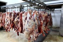 赤峰肉鸡屠宰场电话号码查询