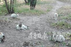 赤峰市送水猫电话地址查询