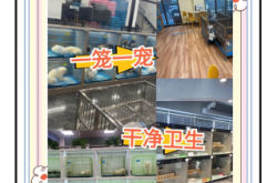 赤峰宠物店联系方式