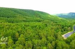 赤峰浩伦商贸公司地址电话号码