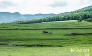 赤峰锦山苹果手机店电话地址