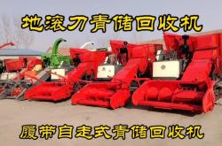 赤峰青储玉米回收电话号码是多少