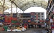 赤峰红嘴鸭苗批发市场电话号码