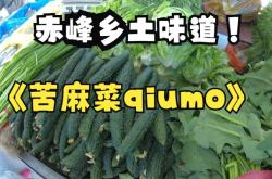 赤峰烤肉榴莲自助餐厅电话号码