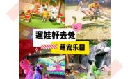 赤峰萌宠宠物乐园电话多少号
