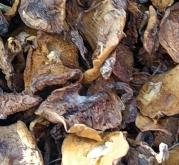赤峰吊炉批发电话号码多少