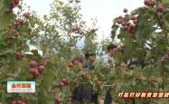 赤峰山楂采摘基地电话多少号