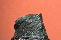 赤峰白马纹绣店电话号码多少