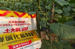 赤峰肥料水溶肥厂家电话号码