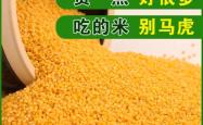 赤峰到天山货车电话号码多少