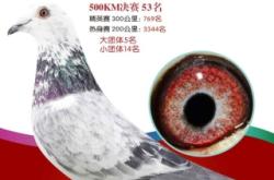 赤峰拍卖平台官网电话号码查询